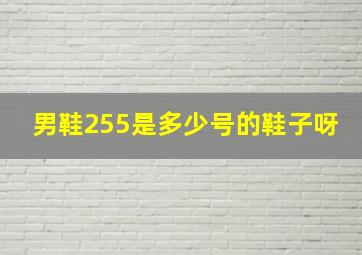 男鞋255是多少号的鞋子呀