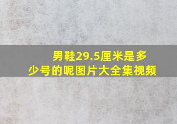 男鞋29.5厘米是多少号的呢图片大全集视频