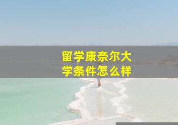 留学康奈尔大学条件怎么样