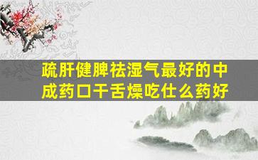 疏肝健脾祛湿气最好的中成药口干舌燥吃仕么药好