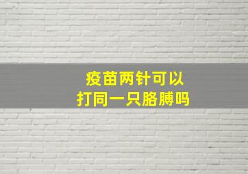 疫苗两针可以打同一只胳膊吗