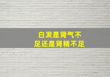 白发是肾气不足还是肾精不足