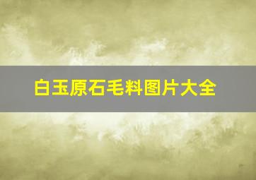 白玉原石毛料图片大全