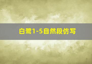 白鹭1-5自然段仿写