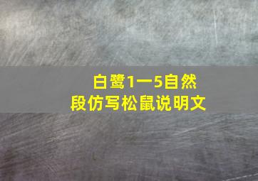 白鹭1一5自然段仿写松鼠说明文