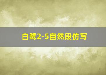 白鹭2-5自然段仿写