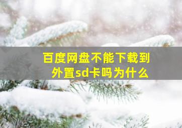 百度网盘不能下载到外置sd卡吗为什么