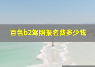 百色b2驾照报名费多少钱