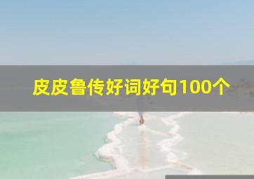 皮皮鲁传好词好句100个