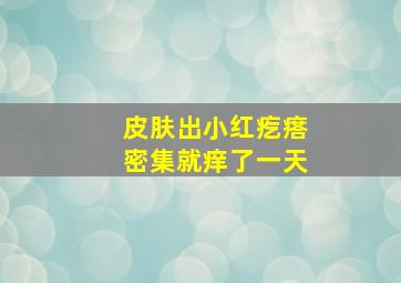 皮肤出小红疙瘩密集就痒了一天