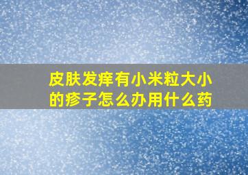 皮肤发痒有小米粒大小的疹子怎么办用什么药