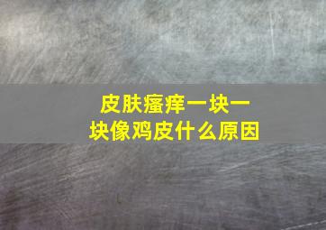 皮肤瘙痒一块一块像鸡皮什么原因