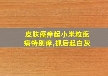 皮肤瘙痒起小米粒疙瘩特别痒,抓后起白灰