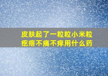 皮肤起了一粒粒小米粒疙瘩不痛不痒用什么药