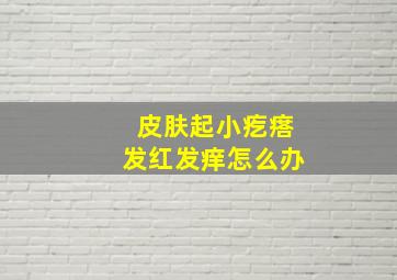 皮肤起小疙瘩发红发痒怎么办