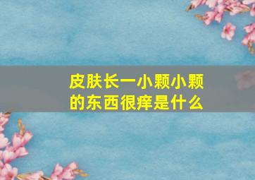 皮肤长一小颗小颗的东西很痒是什么