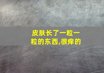 皮肤长了一粒一粒的东西,很痒的