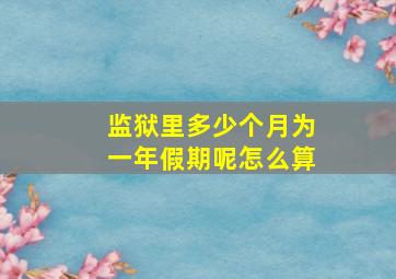 监狱里多少个月为一年假期呢怎么算