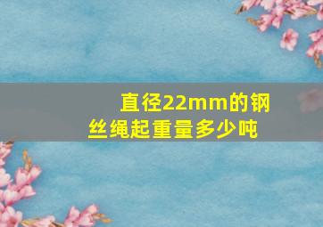 直径22mm的钢丝绳起重量多少吨