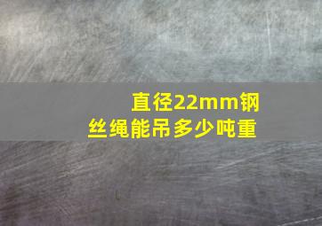 直径22mm钢丝绳能吊多少吨重