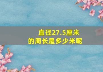 直径27.5厘米的周长是多少米呢