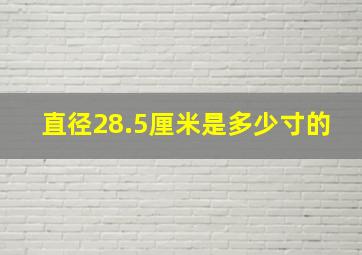 直径28.5厘米是多少寸的