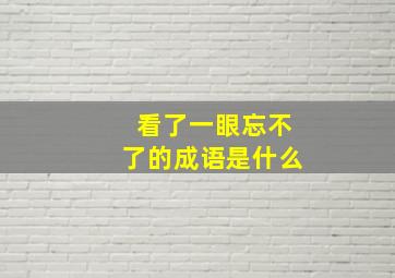 看了一眼忘不了的成语是什么