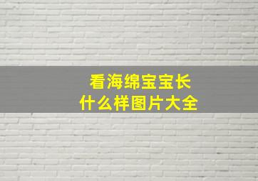 看海绵宝宝长什么样图片大全