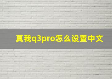 真我q3pro怎么设置中文