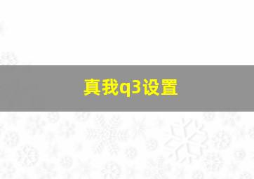 真我q3设置