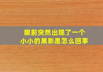 眼前突然出现了一个小小的黑影是怎么回事