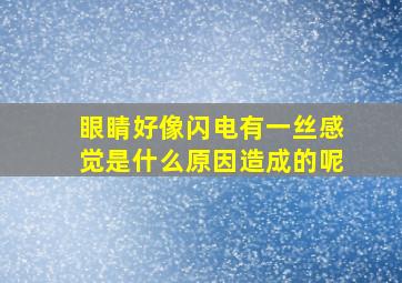 眼睛好像闪电有一丝感觉是什么原因造成的呢