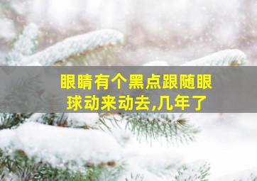 眼睛有个黑点跟随眼球动来动去,几年了