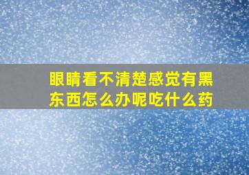 眼睛看不清楚感觉有黑东西怎么办呢吃什么药