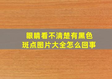 眼睛看不清楚有黑色斑点图片大全怎么回事