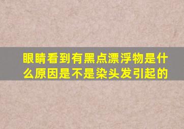 眼睛看到有黑点漂浮物是什么原因是不是染头发引起的