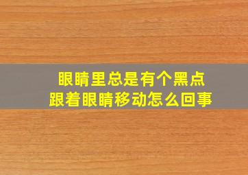 眼睛里总是有个黑点跟着眼睛移动怎么回事