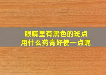 眼睛里有黑色的斑点用什么药膏好使一点呢