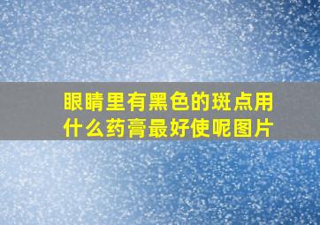 眼睛里有黑色的斑点用什么药膏最好使呢图片