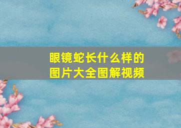 眼镜蛇长什么样的图片大全图解视频