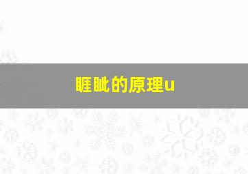 睚眦的原理u