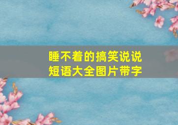 睡不着的搞笑说说短语大全图片带字