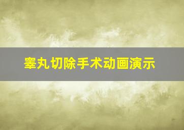 睾丸切除手术动画演示