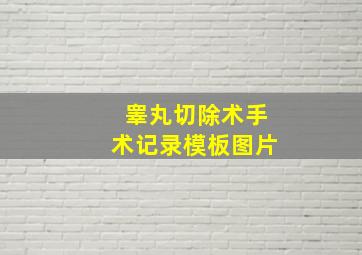 睾丸切除术手术记录模板图片