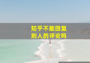 知乎不能回复别人的评论吗