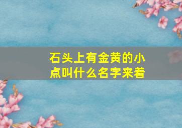 石头上有金黄的小点叫什么名字来着