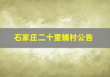 石家庄二十里铺村公告