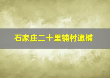 石家庄二十里铺村逮捕