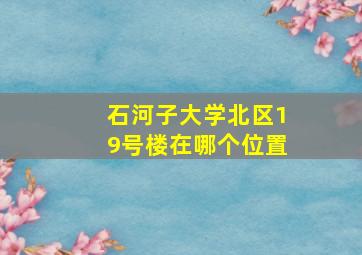 石河子大学北区19号楼在哪个位置