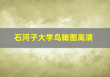 石河子大学鸟瞰图高清